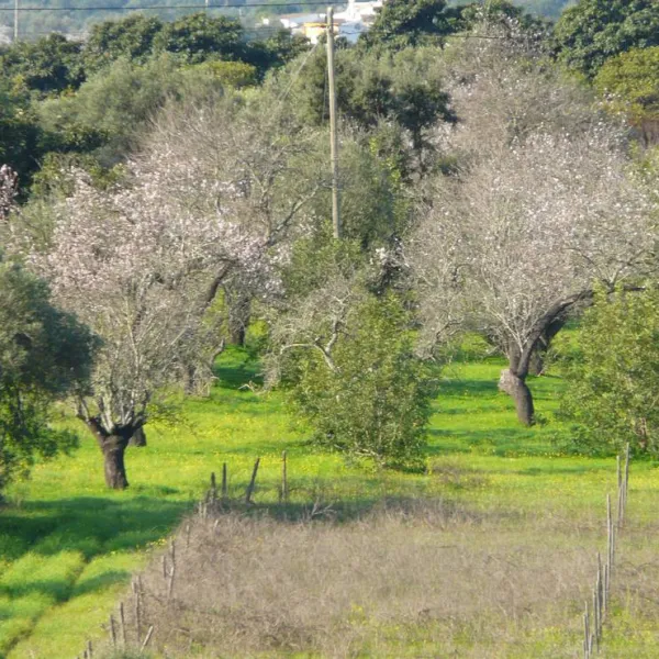 park-caravaning-rural-moncarapacho-7ugwi
