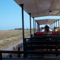 park-caravaning-rural-moncarapacho-wcrar