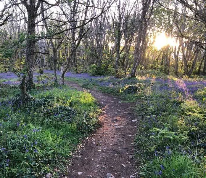 roselidden-house-camping-helston-rbrru