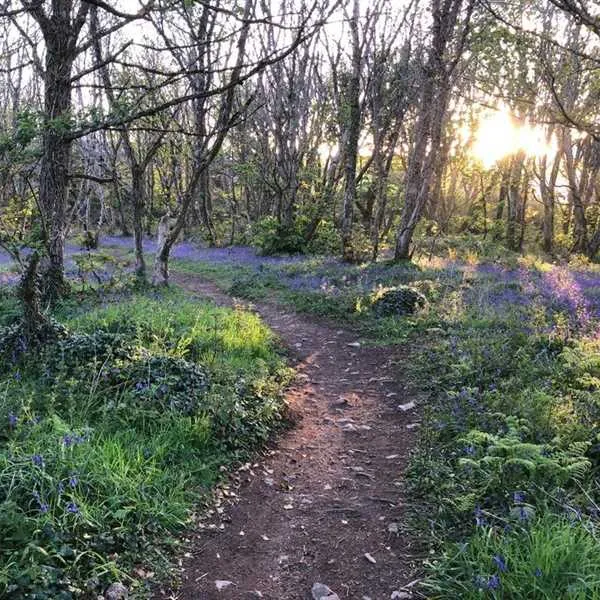 roselidden-house-camping-helston-rbrru