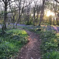 roselidden-house-camping-helston-rbrru