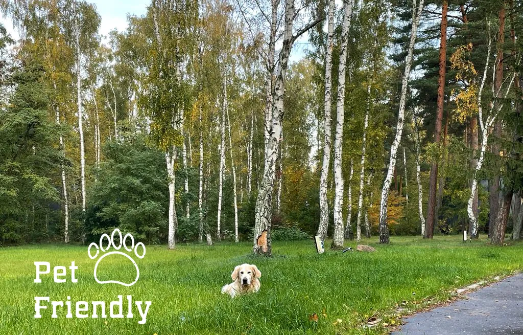 scout-camp-poznan-poznan-liu1y