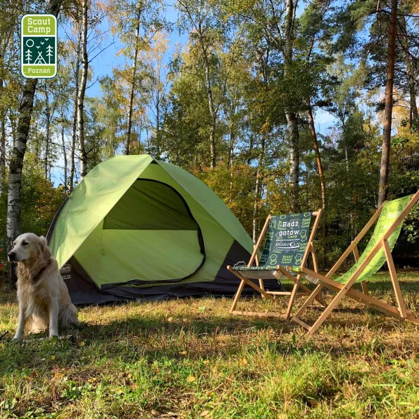 scout-camp-poznan-poznan-n1igo