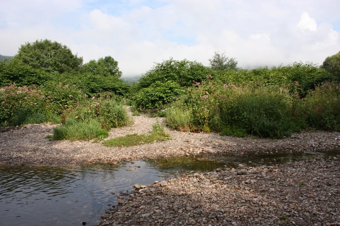 du-pont-de-maxonchamp-rupt-sur-moselle-nlkmk
