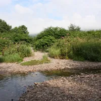 du-pont-de-maxonchamp-rupt-sur-moselle-nlkmk