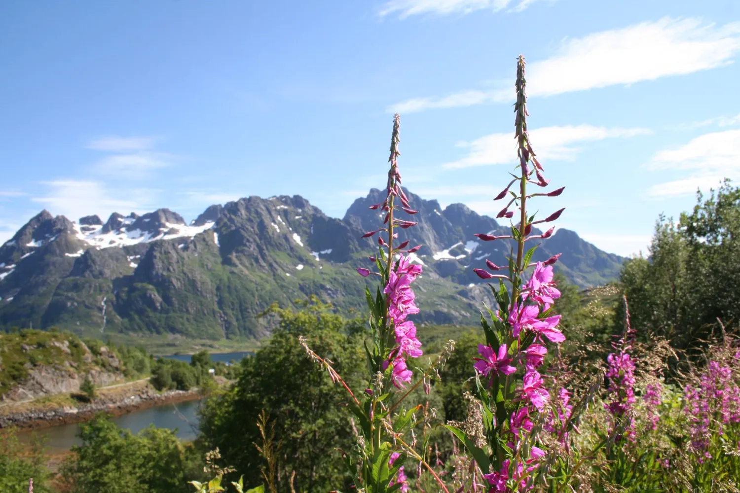 laukvik-bobilcamp-laukvika-cpd3m