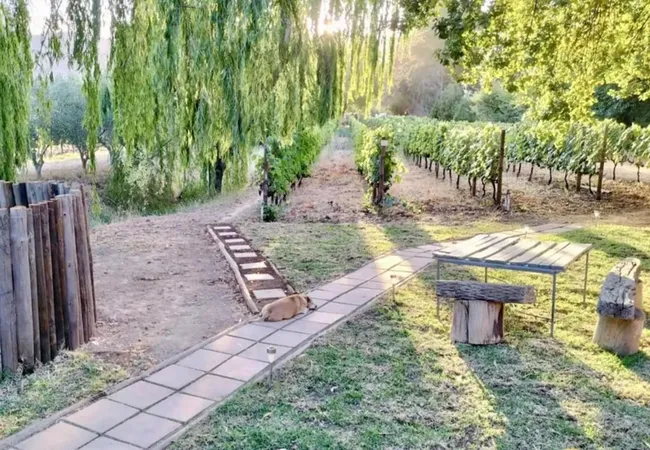 the-well-glamping-tent-dirkie-uys-street-franschhoek-ykgfx