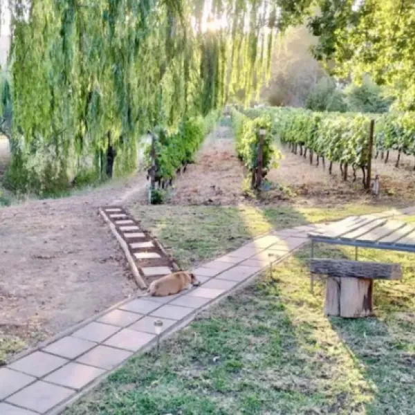 the-well-glamping-tent-dirkie-uys-street-franschhoek-ykgfx