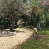 camping-q-bar-montenegro-bar-ub0zq