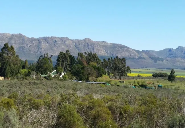 fynbos-guest-farm-wolseley-3l2bs