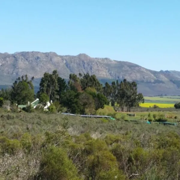 Fynbos Guest Farm
