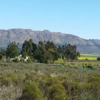 fynbos-guest-farm-wolseley-3l2bs