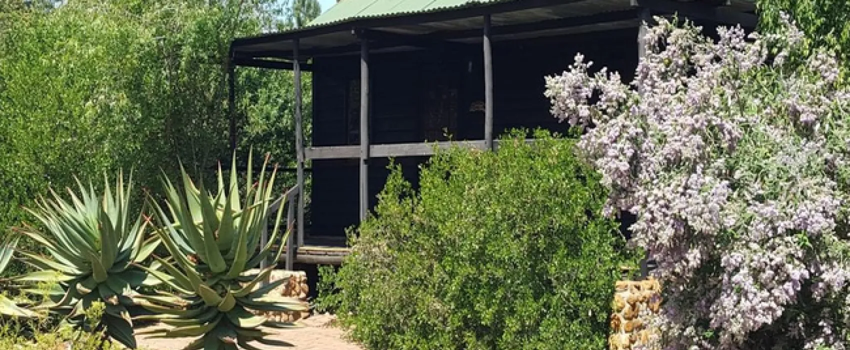 Fynbos Guest Farm