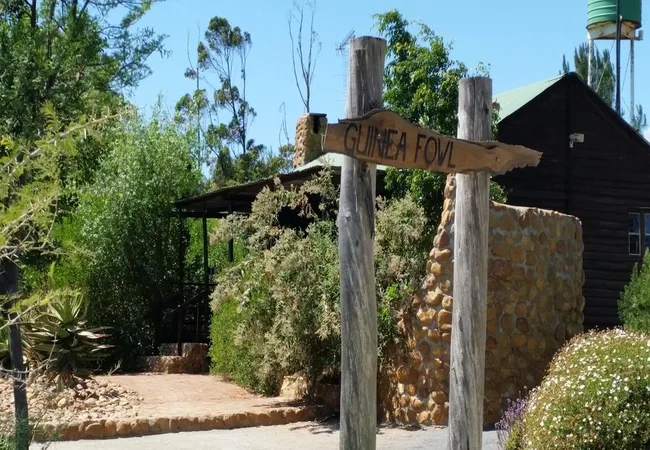 fynbos-guest-farm-wolseley-nlb3s