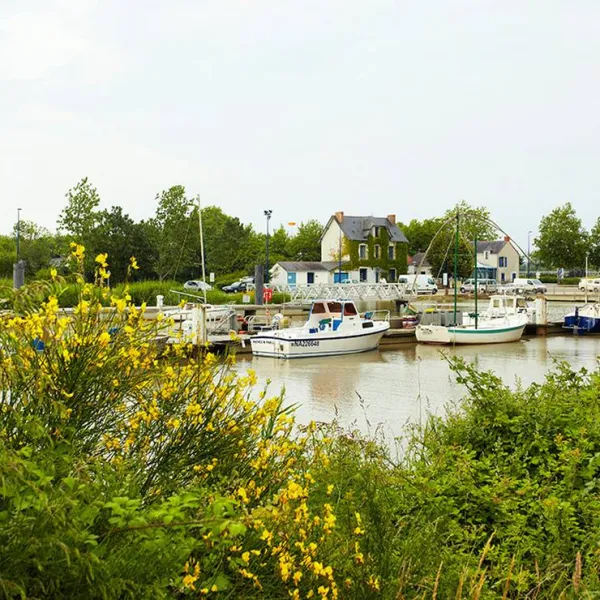 camping-les-salorges-cordemais-ihy78