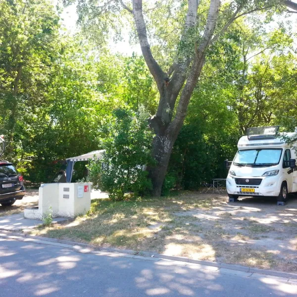 Du Pont d'Avignon