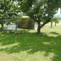 kamp-pri-rebkovih-ajdovscina-uy0h9
