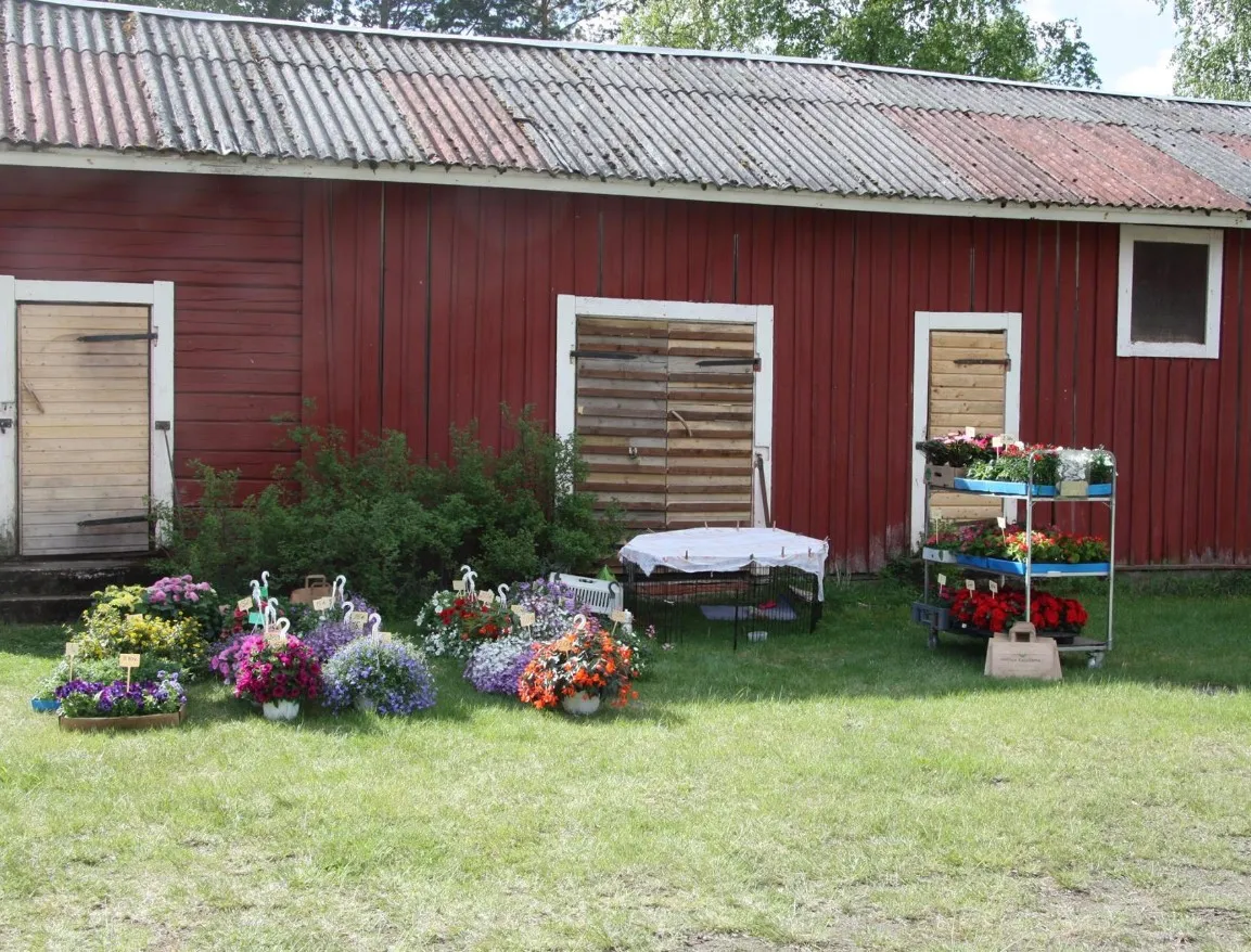 nummenkyla-ry-hamneelinna-u87yn