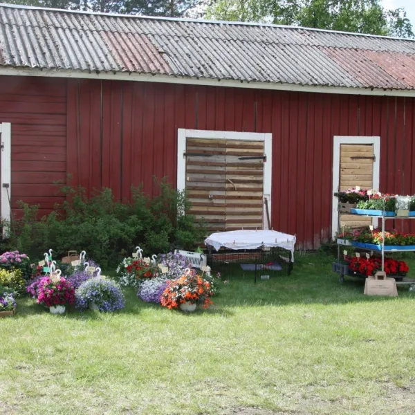 nummenkyla-ry-hamneelinna-u87yn