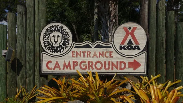 lion-country-safari-koa-loxahatchee-b7l0l