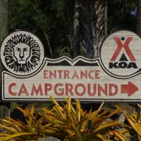 lion-country-safari-koa-loxahatchee-b7l0l