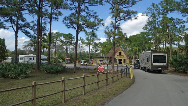 lion-country-safari-koa-loxahatchee-h0scg