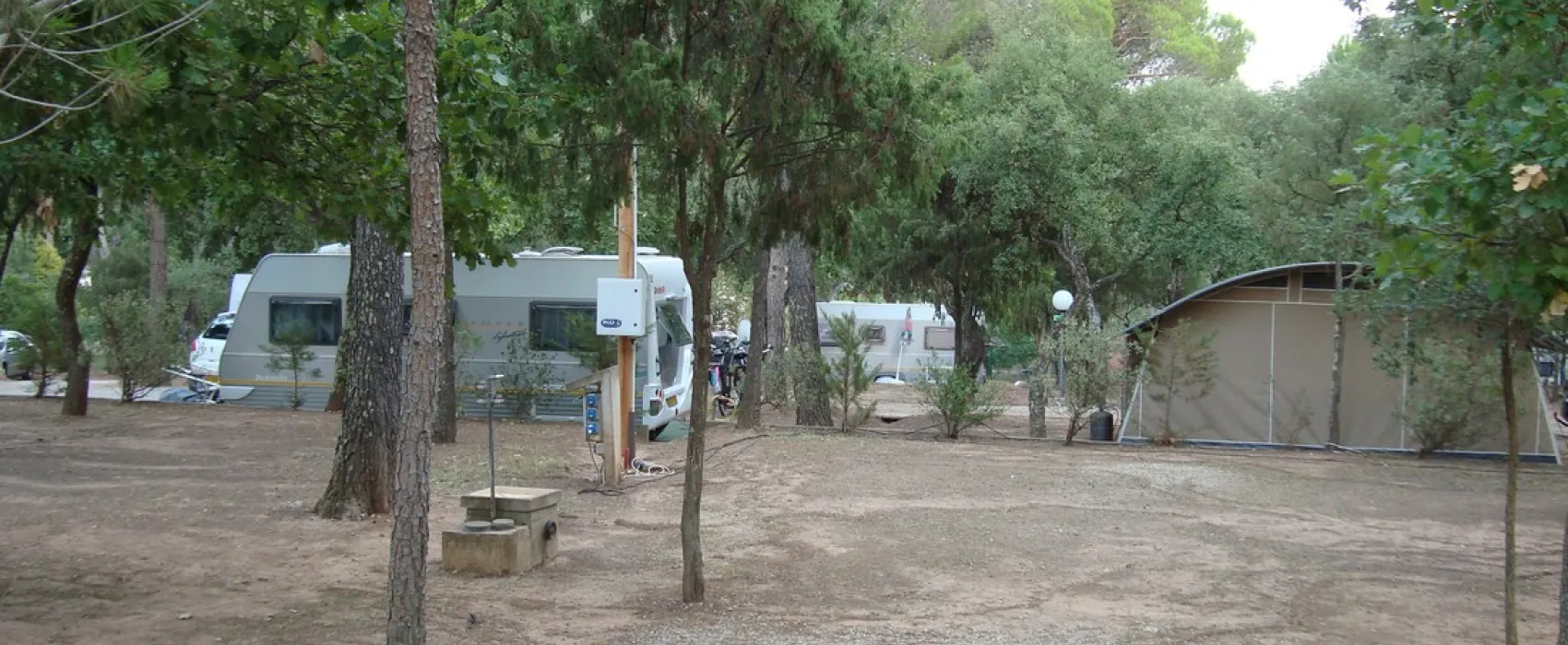 Lei Suves