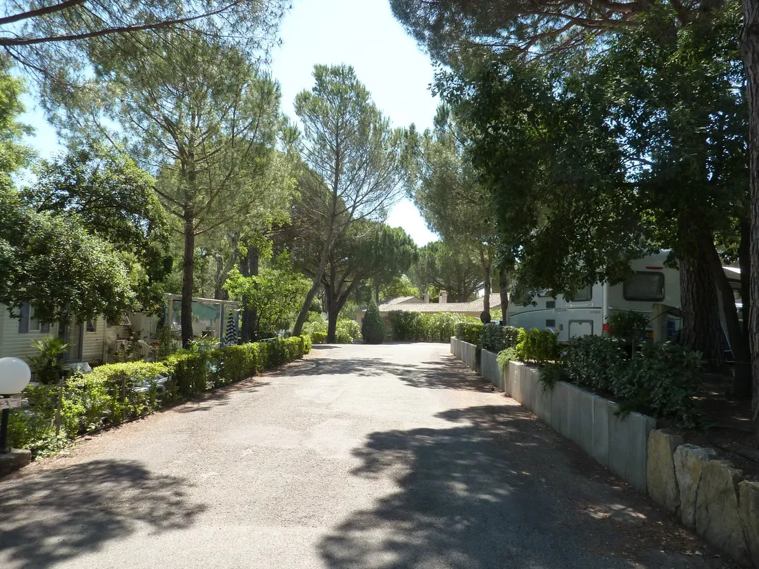 lei-suves-roquebrune-sur-argens-fizin