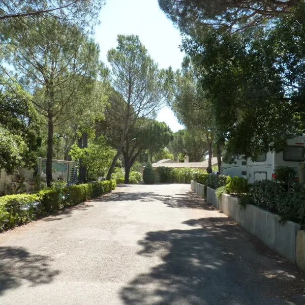 lei-suves-roquebrune-sur-argens-fizin