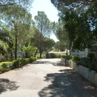 lei-suves-roquebrune-sur-argens-fizin