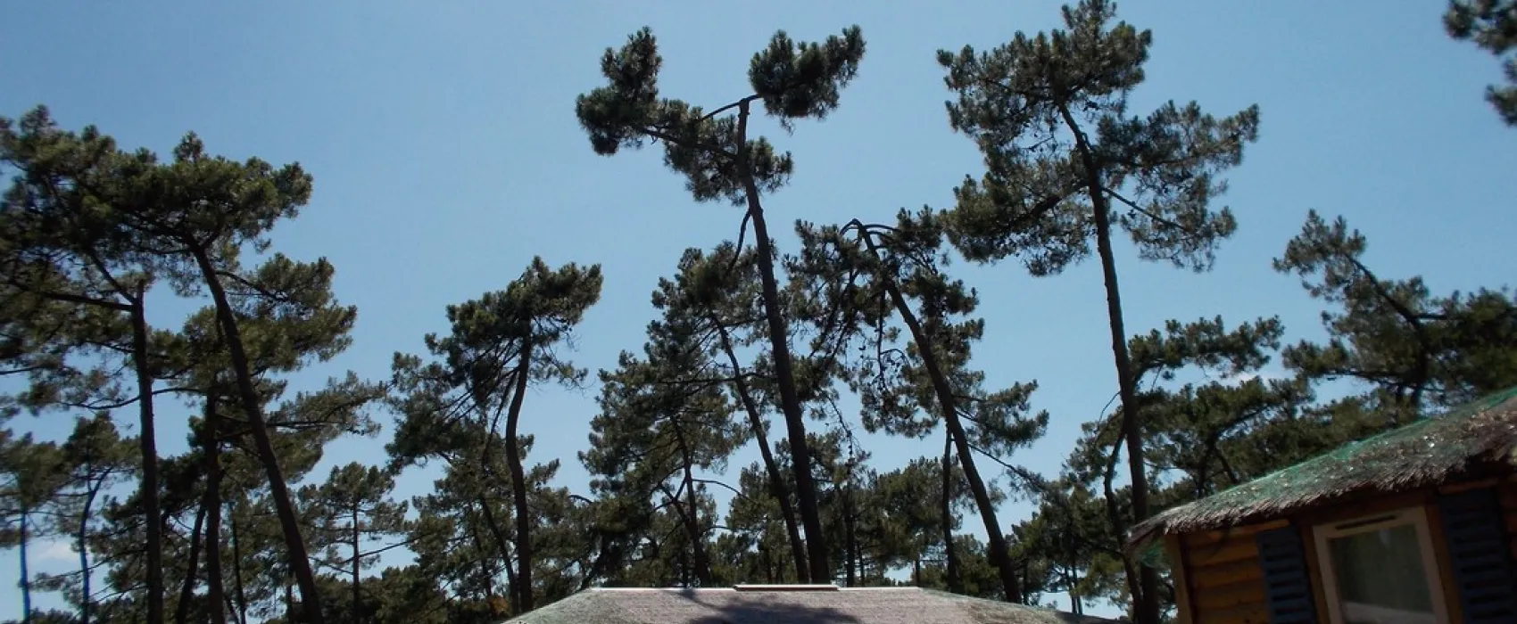 Capfun Zéphir