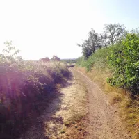 la-ferme-dhelice-sarzay-0eryp
