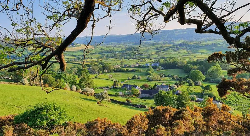 damson-view-glamping-lyth-valley-4do0r