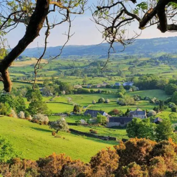 damson-view-glamping-lyth-valley-4do0r