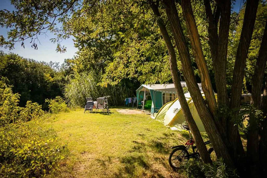 les-genets-dor-bagnols-sur-ceze-gard-tmczs