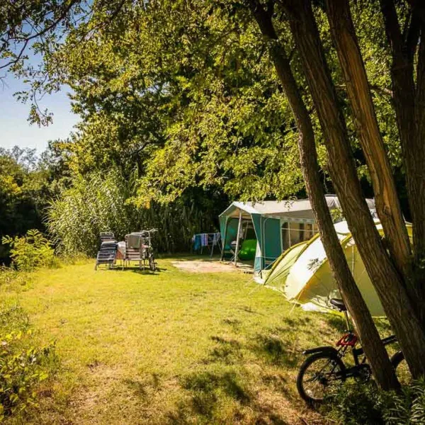 les-genets-dor-bagnols-sur-ceze-gard-tmczs