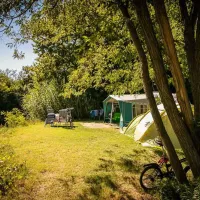 les-genets-dor-bagnols-sur-ceze-gard-tmczs