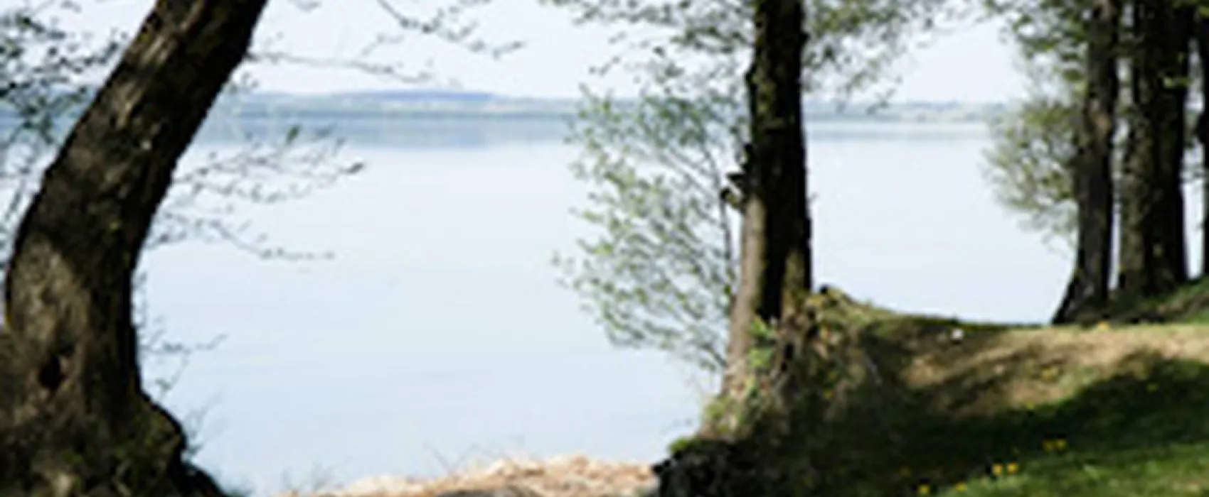 Camping Vitrūna