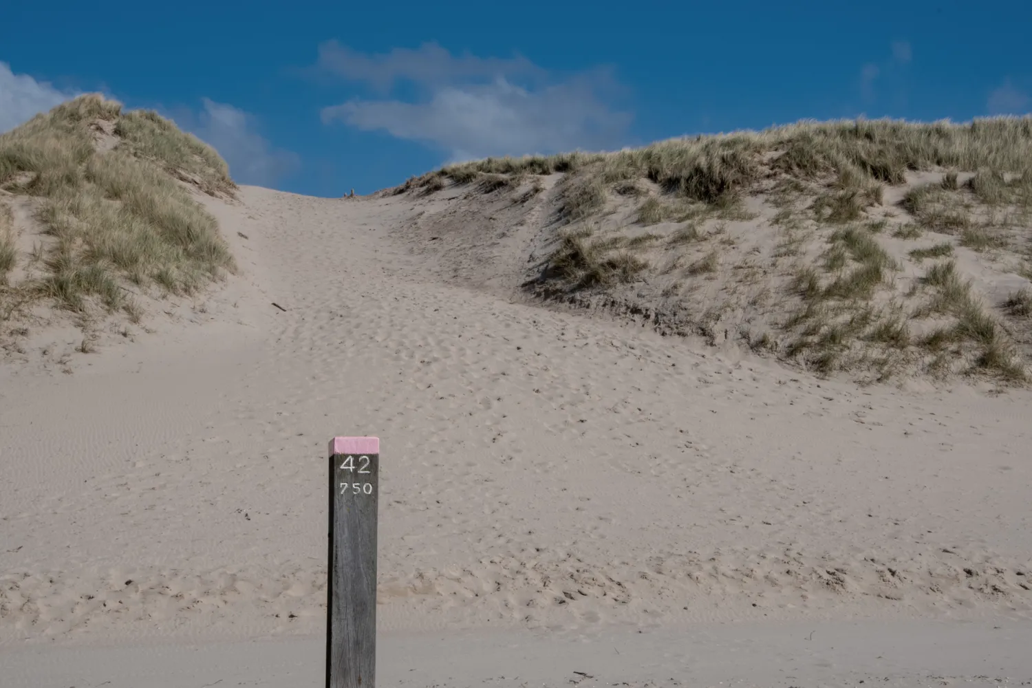 mini-camping-de-hooiberg-castricum-2-gu1ol