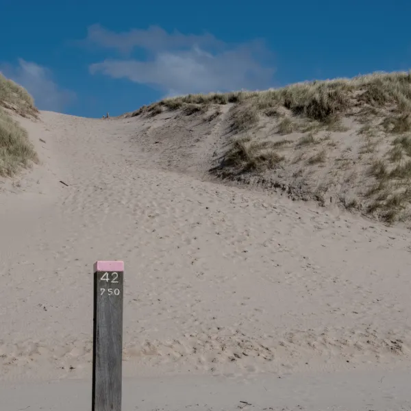 mini-camping-de-hooiberg-castricum-2-gu1ol