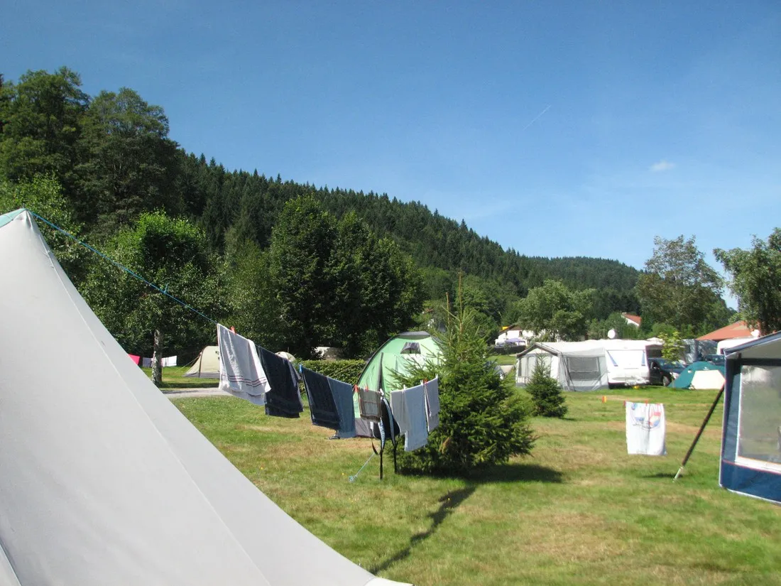 les-jonquilles-xonrupt-longemer-vosges-akqpf