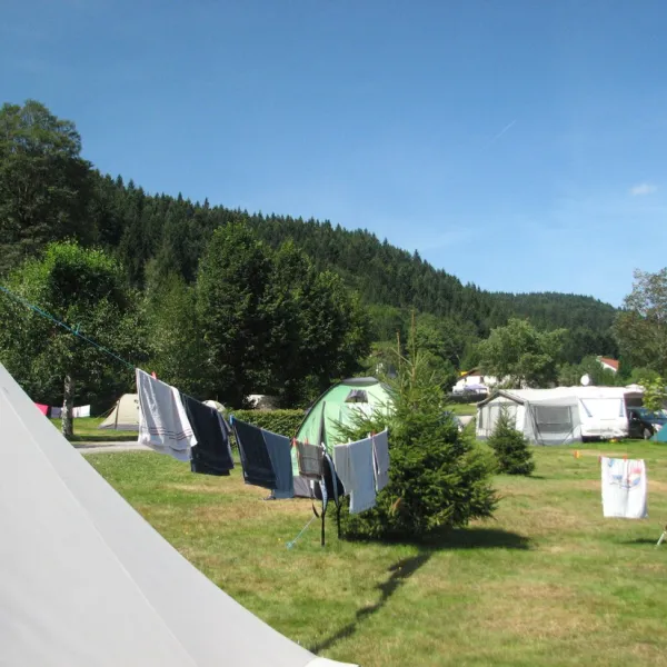 les-jonquilles-xonrupt-longemer-vosges-akqpf