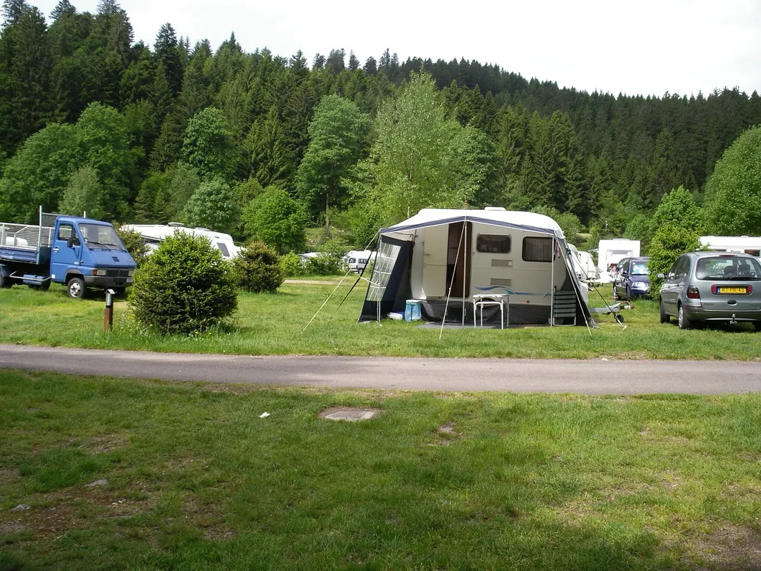 les-jonquilles-xonrupt-longemer-vosges-hgxrt