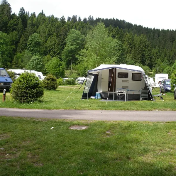 les-jonquilles-xonrupt-longemer-vosges-hgxrt