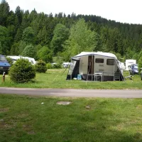 les-jonquilles-xonrupt-longemer-vosges-hgxrt