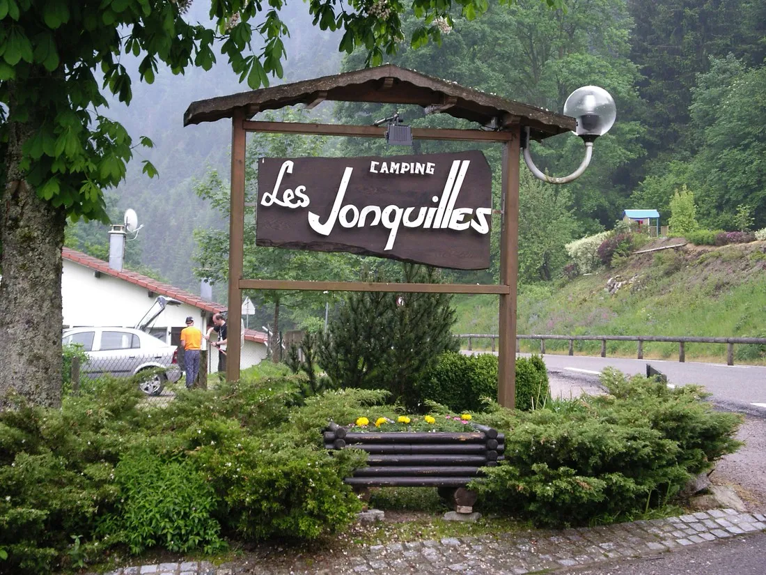 les-jonquilles-xonrupt-longemer-vosges-jndxd