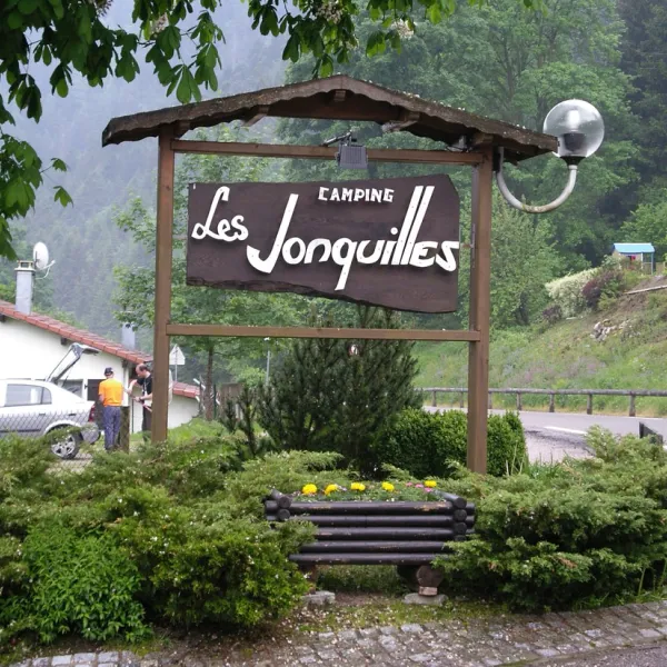 les-jonquilles-xonrupt-longemer-vosges-jndxd
