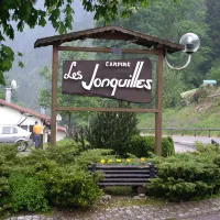 les-jonquilles-xonrupt-longemer-vosges-jndxd