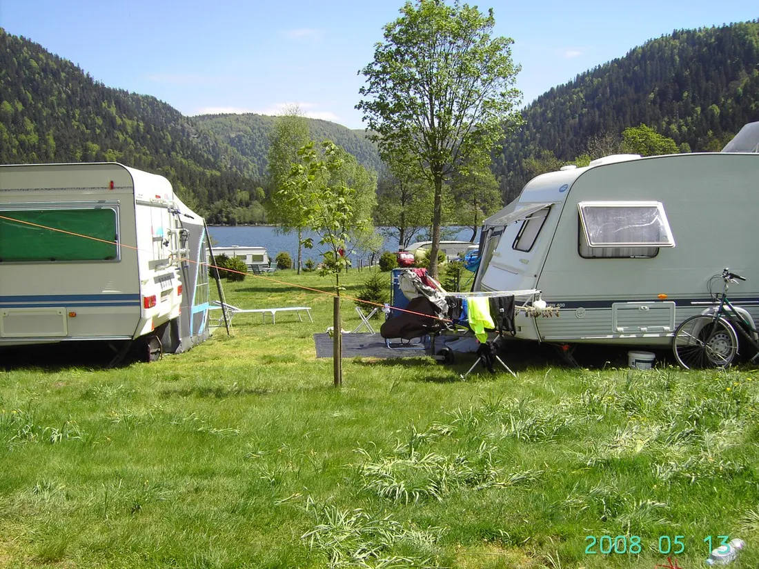 les-jonquilles-xonrupt-longemer-vosges-ywky5