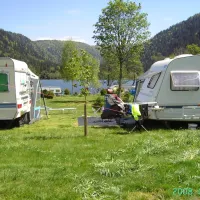 les-jonquilles-xonrupt-longemer-vosges-ywky5